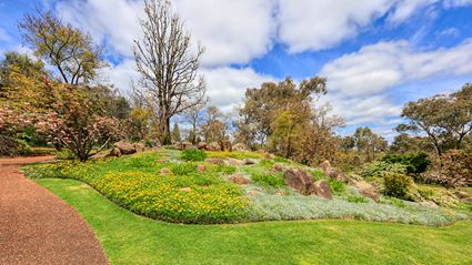 Japanese Garden - Cowra 